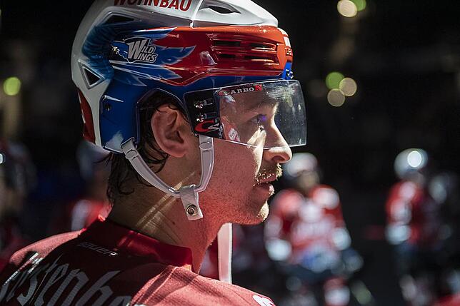 Bild 7: Die Wild Wings siegen wieder in der Deutschen Eishockey-Liga