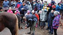 Das Schaubeschlagen eines Pferdes durch Hufschmied Harald Gröner zog die Aufmerksamkeit der Besucher beim &bdquo;Fest der Höfe&ldquo; ...
