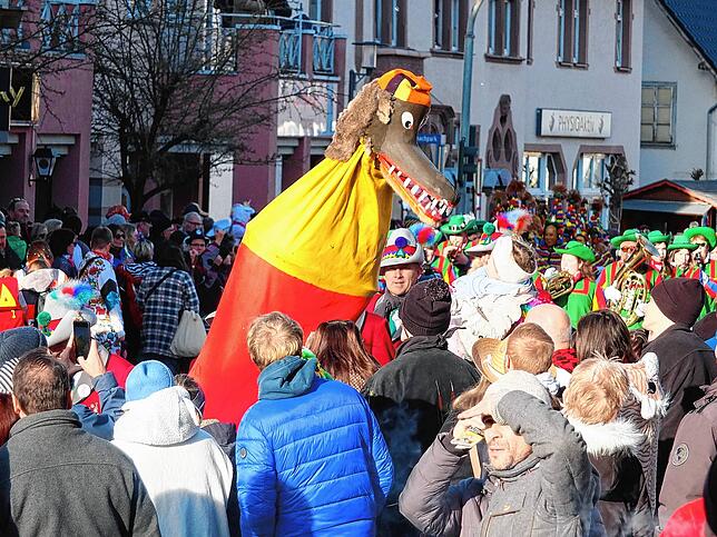 Bild 6: Großer Jubiläumsumzug der Narren in Niedereschach – Teil 2