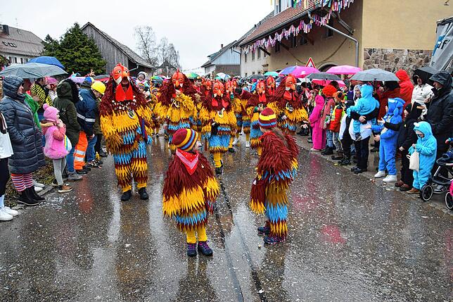 Bild 30: Schlüchttalnarrentreffen in Nöggenschwiel: So beeindruckend war das Event
