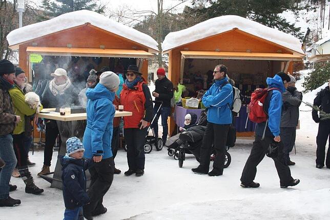 Bild 3: Das Internationale Schlittenhunderennen in Todtmoos 2019 in Bildern