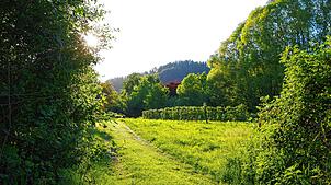 Rechts vom Pfad im Gewann Metzger in Öhningen wurde auf der grünen Wiese der Bau eines Mobilfunkmast der Telekom genehmigt. Dann aber in ...