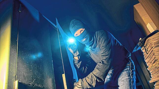 Mit der Kriminalstatistik kann Schonach zufrieden sein: Die Zahl der Straftaten ist 2020 im Vergleich zum Vorjahr zurückgegangen.