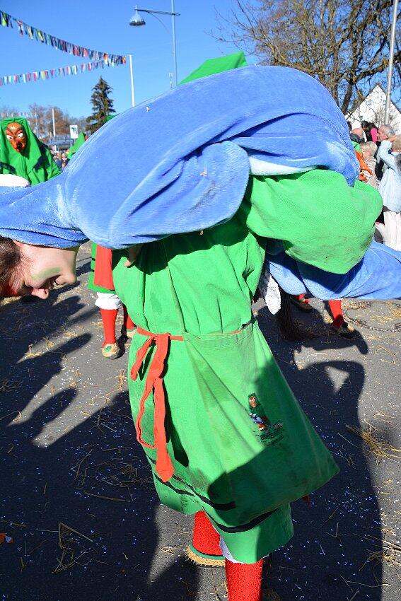 Bild 50: Bilder vom Narrentreffen der Urviecher-Zunft Bad Dürrheim: Großer Festumzug (2)