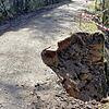 Der Weg durchs Murgtal ist wegen eines Hangrutsches seit März gesperrt.
