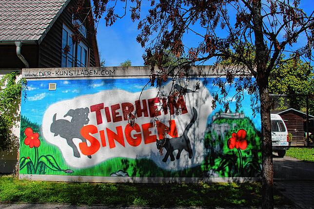 Eine bunte Wand ziert bei den Parkplätzen den Eingangsbereich des Tierheims im Münchried heute.