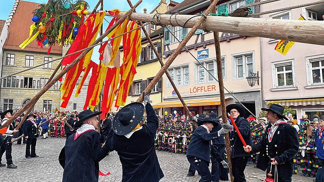 Hau ruck &ndash; noch einige Meter, dann ist es geschafft. Die Mitglieder der Zimmermannsgilde stemmen auf der Hofstatt den Narrenbaum hoch.