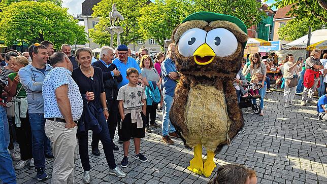 Bild 10: Bilder vom Überlinger Promenadenfest