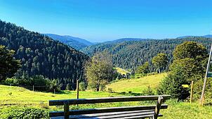 Ein Motiv im neuen Kalender des Förderkreises Heimatmuseum und Geschichte Todtmoos: Der Rheintalblick oberhalb von Glashütte. Bild: ...