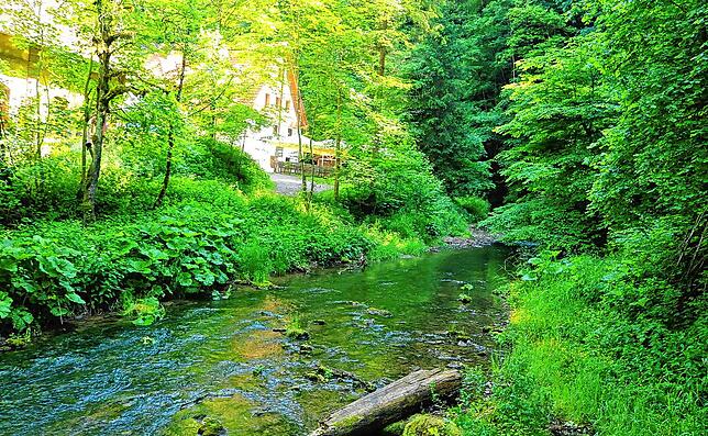 Mitten im Naturschutzgebiet „Wutachschlucht“ taucht sie neben der Gauchach auf, die Burgmühle.