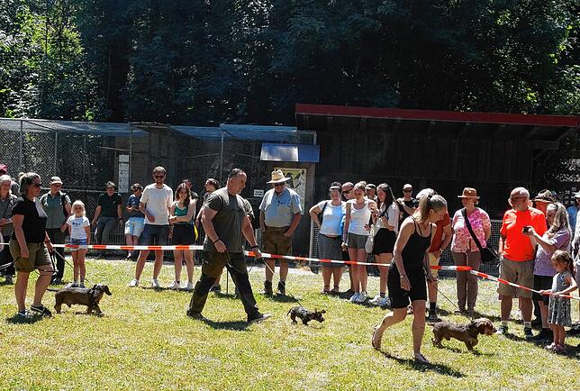 Bild 17: Große Feier zum 60sten Geburtstag: Badische Jäger feiern mit einem "Tag der Jagd"