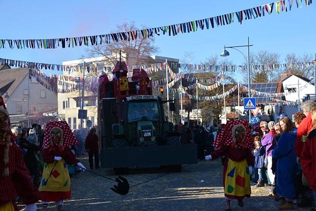 Bild 6: Bilder vom Narrentreffen der Urviecher-Zunft Bad Dürrheim: Großer Festumzug (4)
