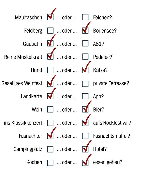 Bild 1: Bundestagswahl 2021: Kandidat Johannes Kretschmann (Grüne) will für den Wahlkreis Zollernalb-Sigmaringen in den Bundestag