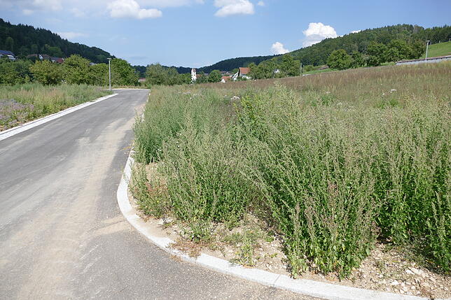 Die Erschließungsarbeiten im Neubaugebiet „Unter dem Friedhof“ in Dillendorf sind abgeschlossen. Hier kann bald gebaut werden.