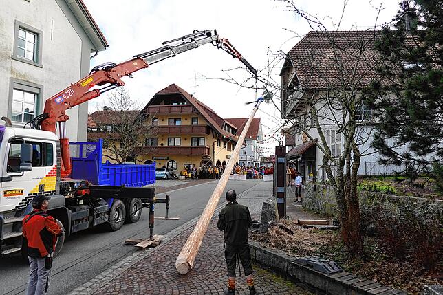 Bild 15: Hier sind die besten Bilder vom Narrenbaumstellen in Görwihl