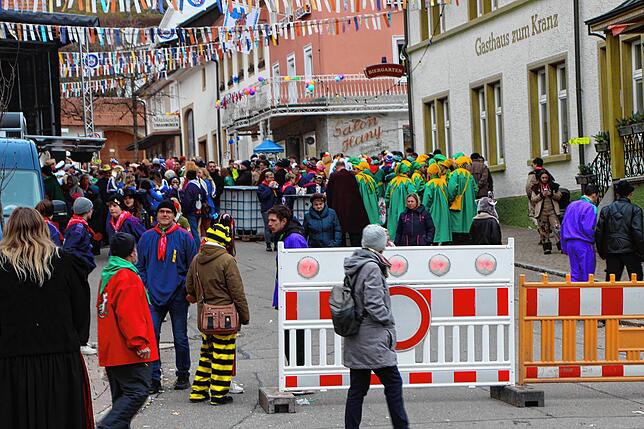 Bild 28: Tierisch was los beim Umzug am Fasnetsmendig: Teil 2