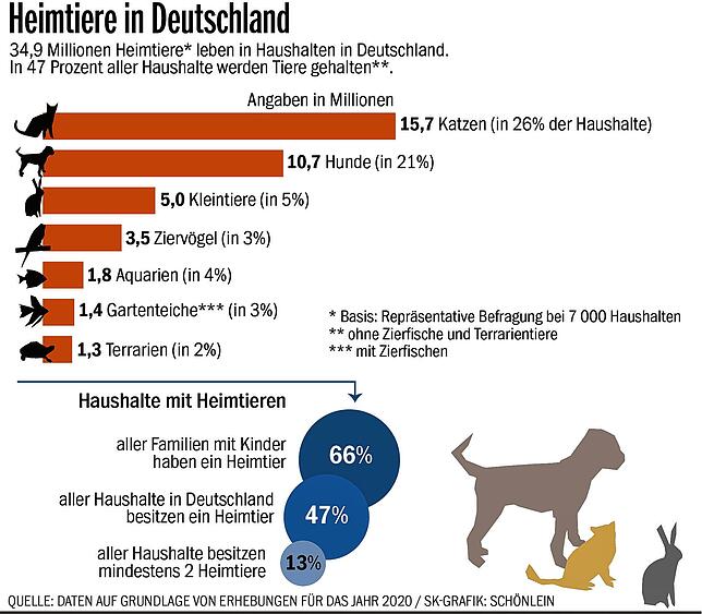 Bild 1: Aufnahmestopp und Wartezeiten: Corona erreicht auch die Tierärzte &ndash; Warum sie jetzt so viel Arbeit haben