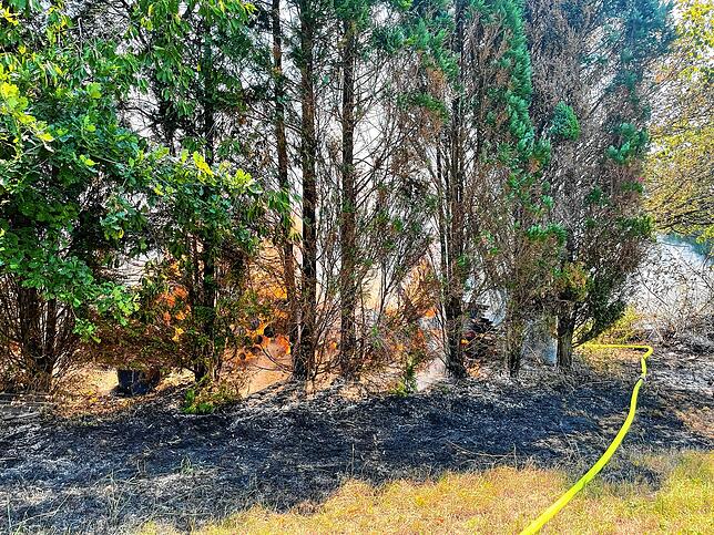 Ein Waldstück bei Wallbach hatte am Mittwochnachmittag, 20. Juli 2022, Feuer gefangen.