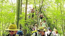 Auch steile Treppen sind kein Problem