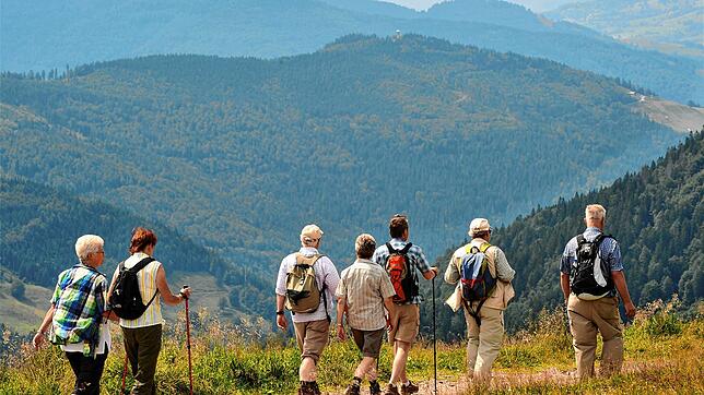 Beim Schwarzwaldverein sind geführte Touren in Gruppen bis zu zwölf Personen wieder erlaubt.