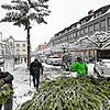 Oberholzer Roland Zimmer von den Narrizella Ratoldi hat zusammen mit Dieter Karrer und Bernd Birkenmayer (im Hintergrund) die stattliche ...