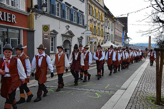 Bild 10: Bilder vom Narrenbaum-Umzug in Stockach mit Schaulustigen
