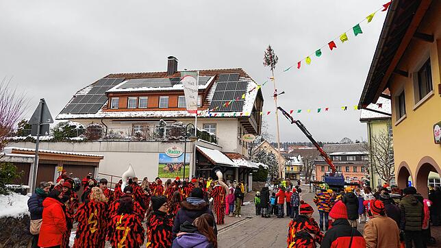Gleich ist es geschafft: Der 22 Meter hohe Görwihler Narrenbaum wird bei Wind und Wetter aufgerichtet.