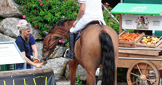 Bild 18: Reitsport pur beim Fest der Pferde am Freitag