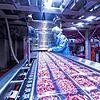 Blick in die Produktion beim Blumberger Fleisch- und Wurstwaren-Hersteller Schwarzwaldhof. Hier wird die Verpackung der Schinkenwürfel ...