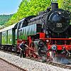 Saisoneröffnung der Blumberger Sauschwänzlebahn: Im Bahnhof Weizen präsentiert sich die Lok samt Wagons zur Freude der rund 50 ...