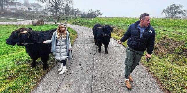 Nach dem SÜDKURIER-Interview begleitet Annelie Henze ihren Patrick noch zu den Rindern. Zwei neue Tiere müssen behutsam an die Leine ...