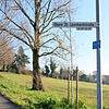 Zu den beliebtesten Aussichtspunkten und Spaziergwegen zählt dieser Abschnitt der Oberen St. Leonhard-Straße. Für die Wiese bis zur ...