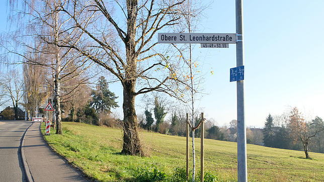 Zu den beliebtesten Aussichtspunkten und Spaziergwegen zählt dieser Abschnitt der Oberen St. Leonhard-Straße. Für die Wiese bis zur ...
