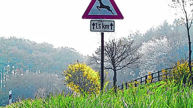 Symbolbild