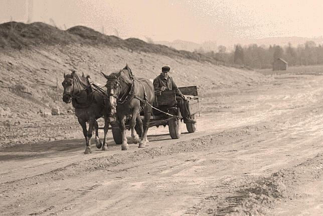 So wurde vor 50 Jahren auch im Hotzenwald gearbeitet: Ein Landwirt mit zwei Pferden vor seinem Gespann.