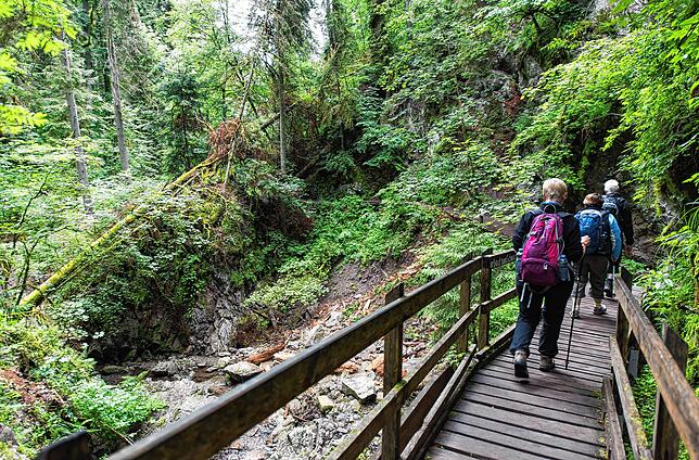 Der Lotenbachkamm, ein Seitenarm der Wutachschlucht, beeindruckt mit vielen kleinen Wasserfällen. Mit etwas Glück kann man hier auch ...