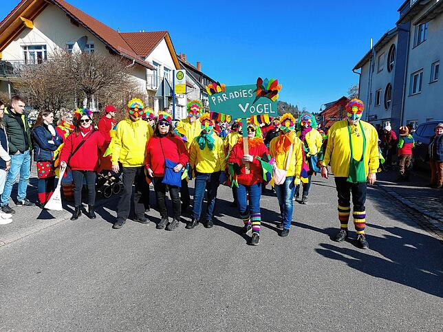 Als schön bunte Paradiesvögel aus der Allensbacher Fabelwelt, so das Motto des Fasnetmäntigumzugs, landen die Hansele bei der ...