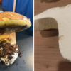 Dieser 1443 Gramm schwere Steinpilz sieht nicht nur von außen gut aus, sondern ist auch von innen makellos.