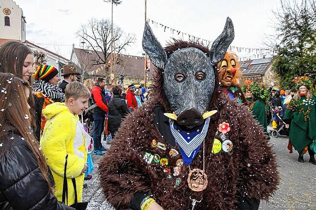 Bild 4: Narrenverein Heuliecher: Die besten Bilder aus dem Jubiläumsumzug