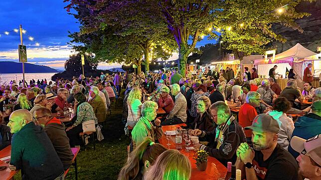 Die Überlinger Weinwiese lebt von der stimmungsvollen Atmosphäre im Uferpark.
