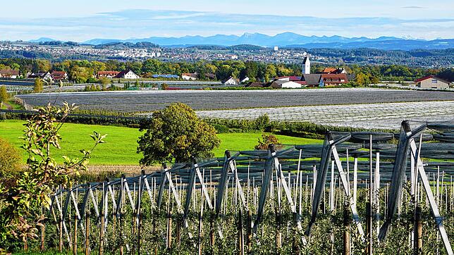 Hirschlatt, die kleine Ortschaft mit Kirchturm, wird malerisch von Obstfeldern eingesäumt. Südlich davon ist nun eine Vorrangfläche für ...