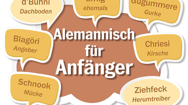 Hätten Sie es gewusst? Diese Begriffe gibt es am Hochrhein zu hören.
