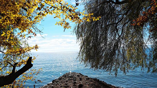 Glitzernder See bei Hagnau