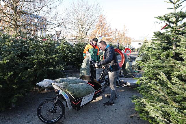 Felix Krätzer (links) vom Christbaum-Center und Matthias Stocker verstauen die Bäume auf dem Lastenfahrrad.