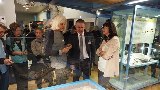 Auch Regierungsrat Alex Hürzeler (Mitte) sah sich bei der Jubiläumsfeier des Sauriermuseums Frick um, Ausgrabungsleiter Ben Pabst führte ...