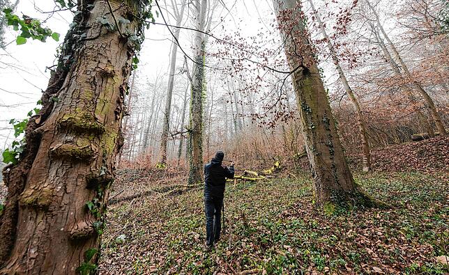 Der Fundort der getöteten Joggerin in Endingen.