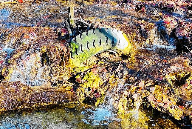 Über mehrere Wochen wurde dieser Altreifen im Mühlbach liegen gelassen.