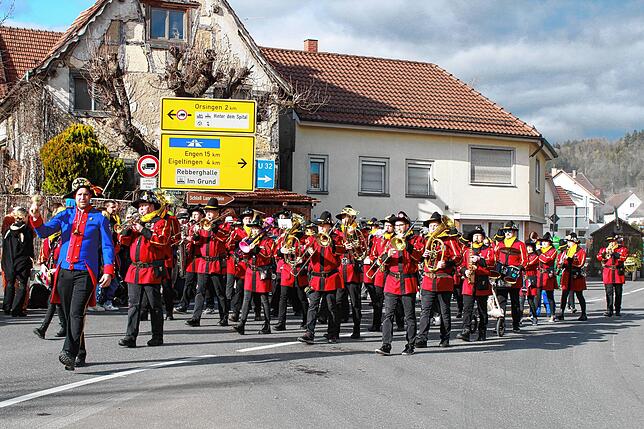 Bild 8: Bilder vom Umzug in Nenzingen