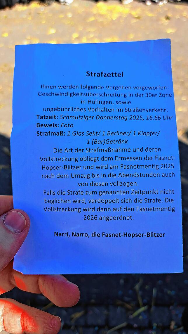 Bild 9: Fasnet 2025: Die besten Bilder vom Umzug in Hüfingen