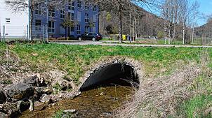 Große und kleinere Brücken der Gemeinde Immendingen, wie diese ins Gebiet Jokental führende, werden 2024 wieder einer Brückenprüfung ...